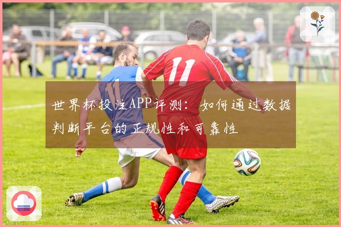 世界杯投注APP评测：如何通过数据判断平台的正规性和可靠性