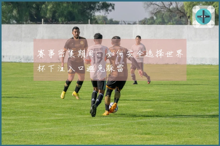 赛事密集期间，如何安全选择世界杯下注入口避免踩雷
