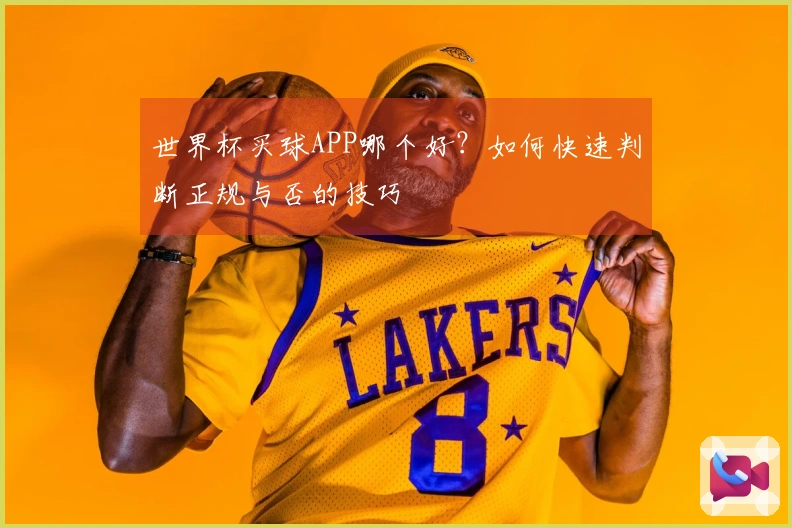 世界杯买球APP哪个好？如何快速判断正规与否的技巧