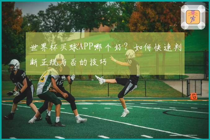 世界杯买球APP哪个好？如何快速判断正规与否的技巧